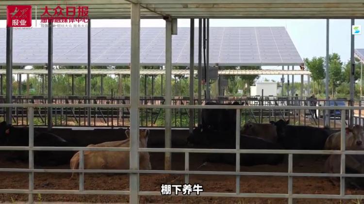 “提效冲刺”看区县·高青｜八项指标第一是如何得来的？