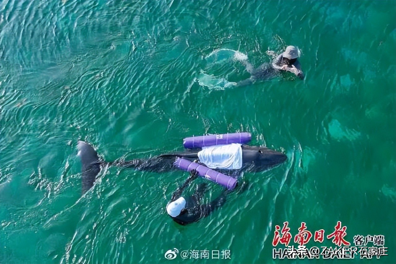 早新闻2.19|事关新业态从业人员！石家庄出台新规；5月1日起实行商品房买卖合同电子签约；今日“雨水”！