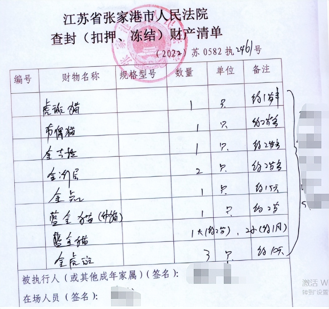 宠物猫被法拍为主人还债,主人欠钱拍卖猫