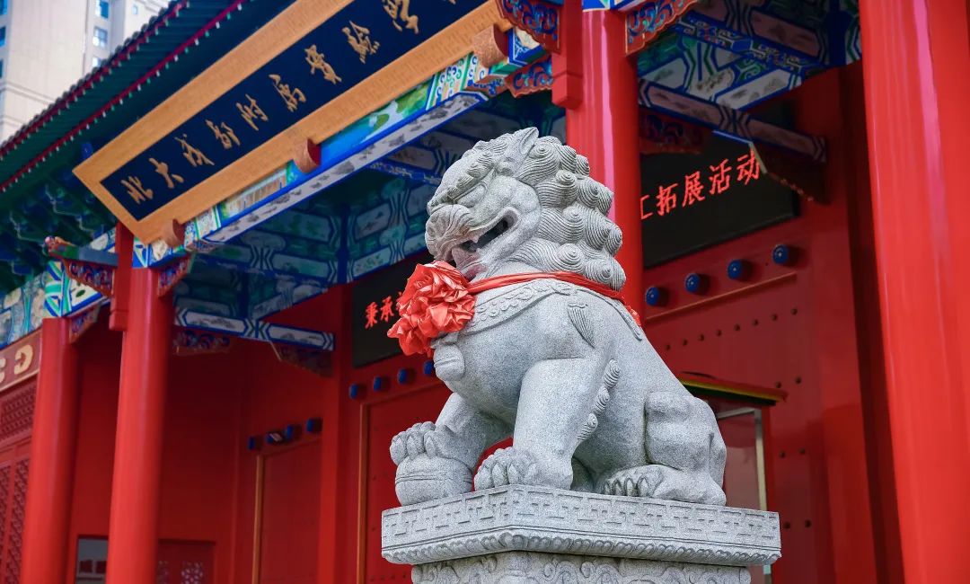 成都市龙泉驿区百悦成龙学校小学,成都龙泉驿百悦成龙学校招生电话