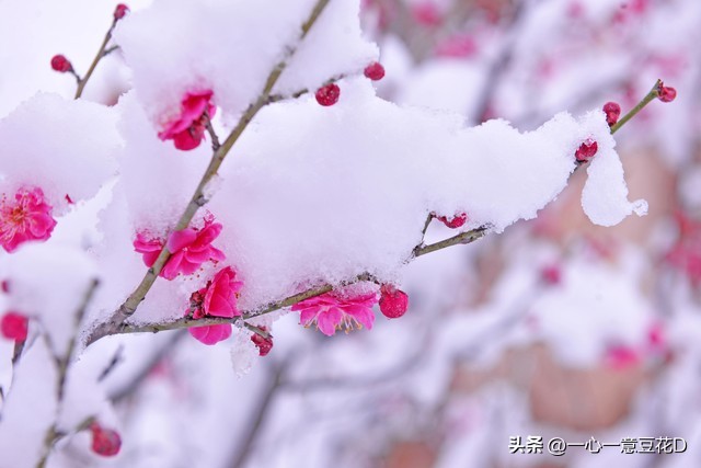 描写腊月二十三的七言诗,腊月街头七言诗