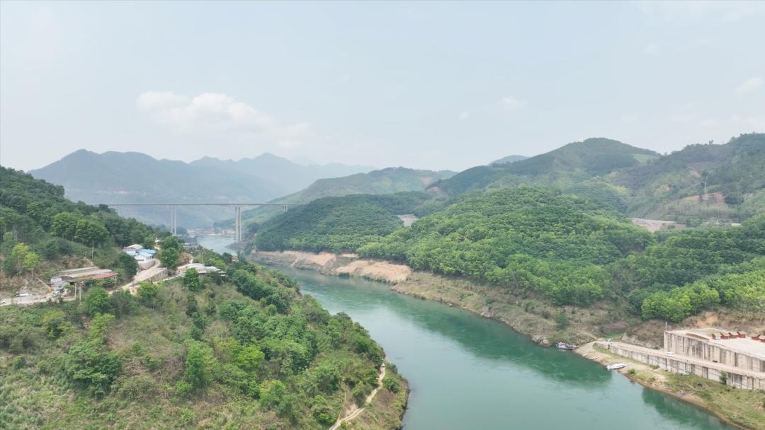 老班章昔归易武冰岛口感评测,老班章冰岛昔归易武茶的特点