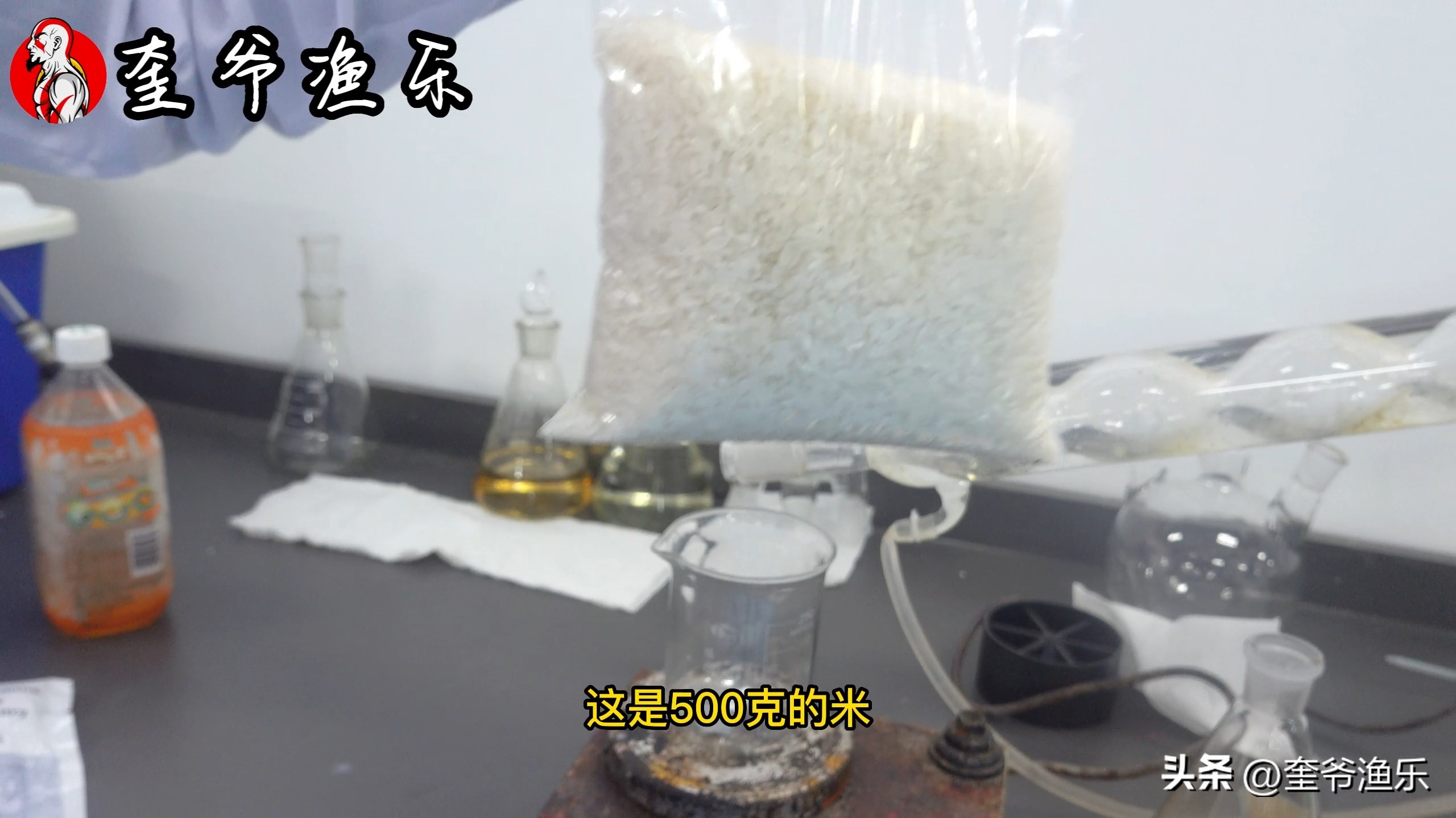 黄酒米窝料制作，强效诱鱼，成本低廉，渔具行业搅屎棍！