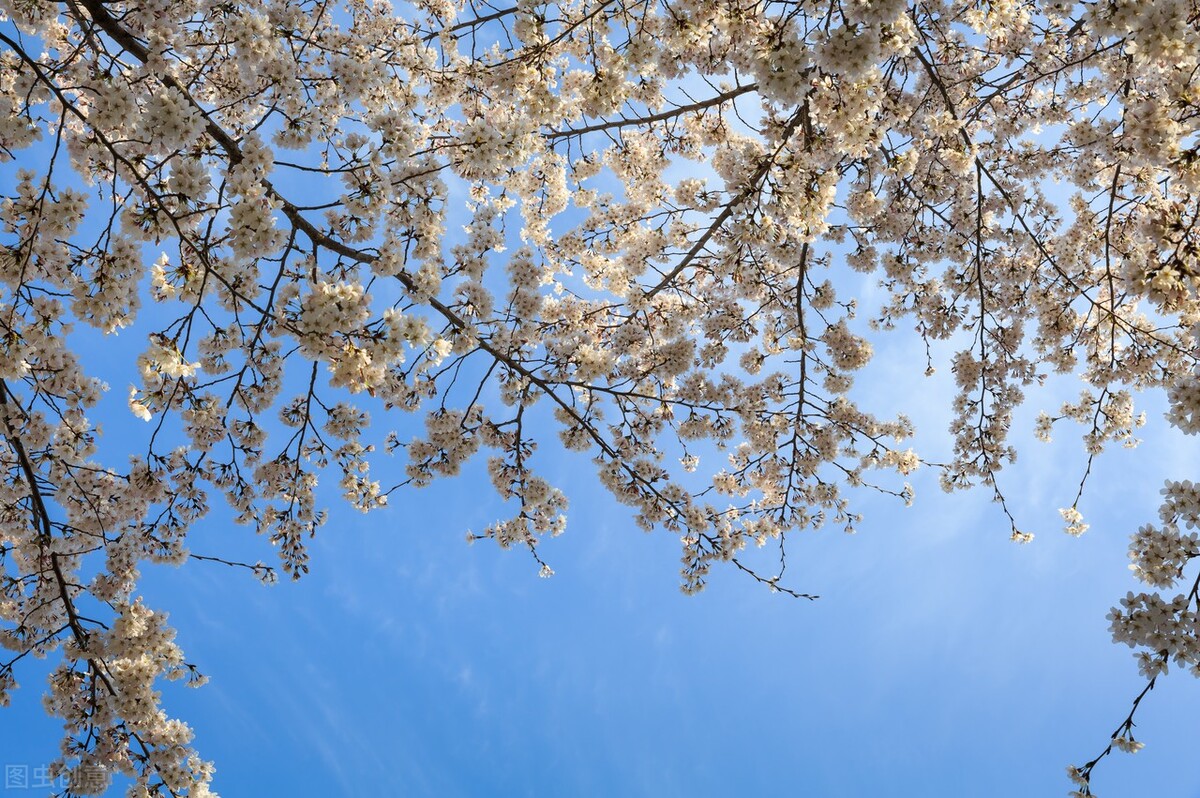 网红减肥产品有效么,网红减肥产品是怎么毁掉你身体的