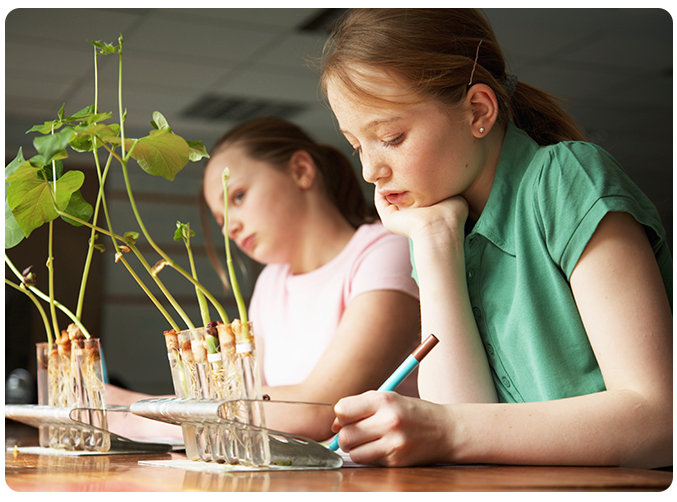 什么是大名鼎鼎的LearningA-Z?全球最详细的中文版图文视频介绍