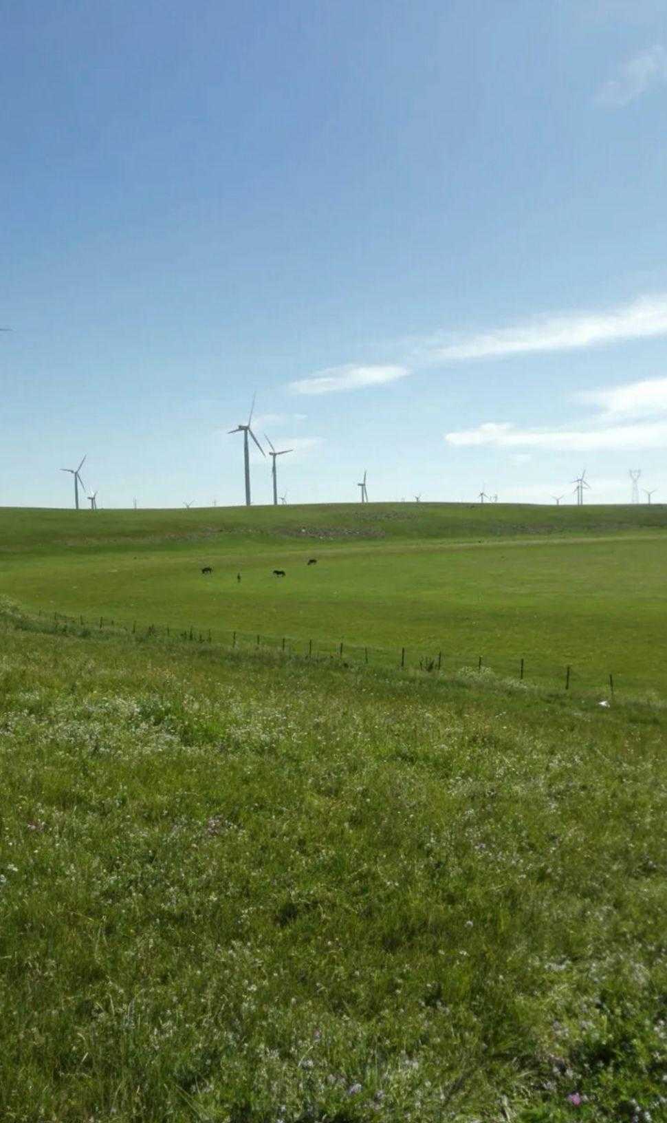 黄花沟一日游自由行攻略,黄花沟一日游美篇