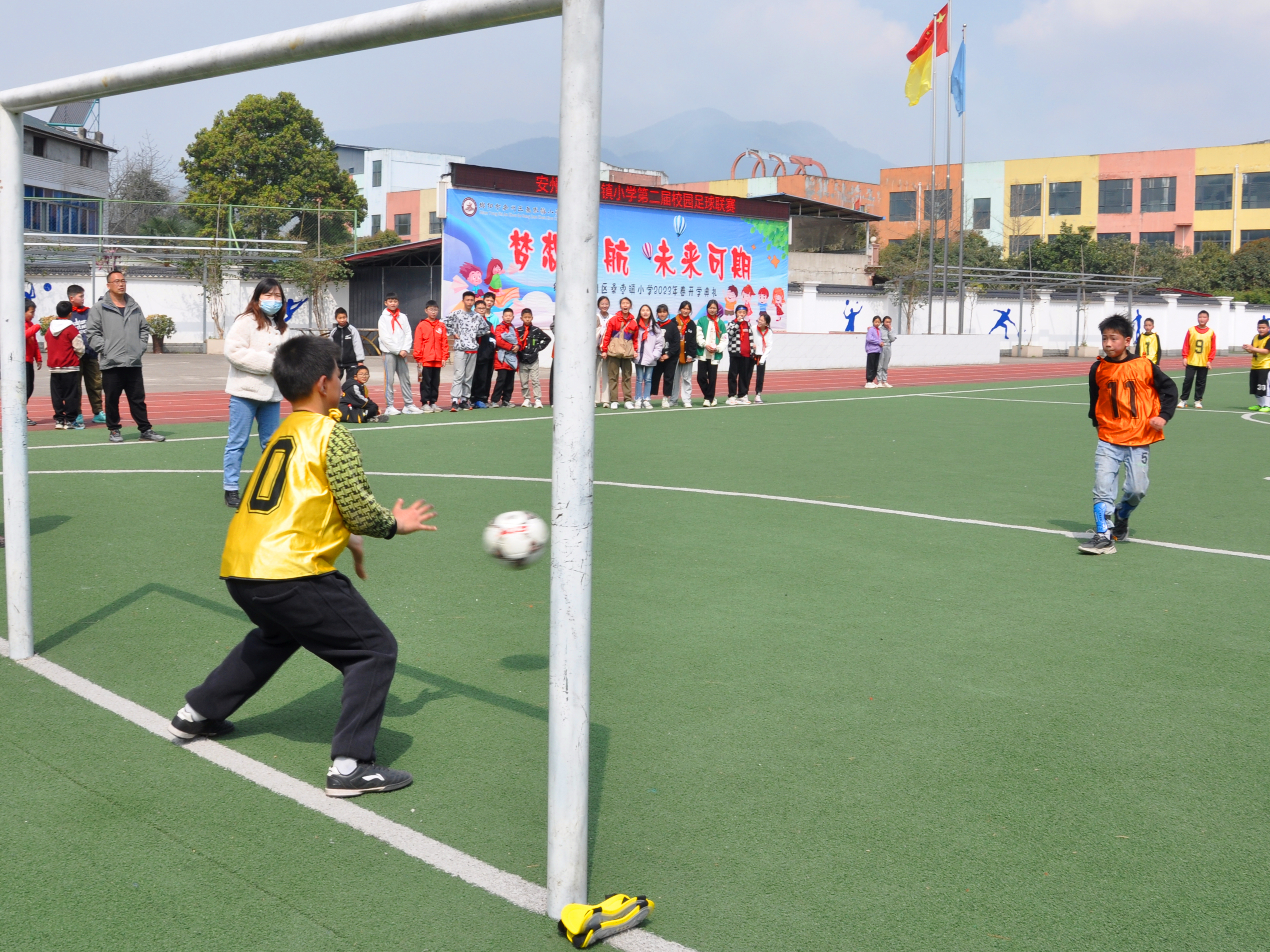 绿茵场上的精彩,绿茵驰骋足够精彩
