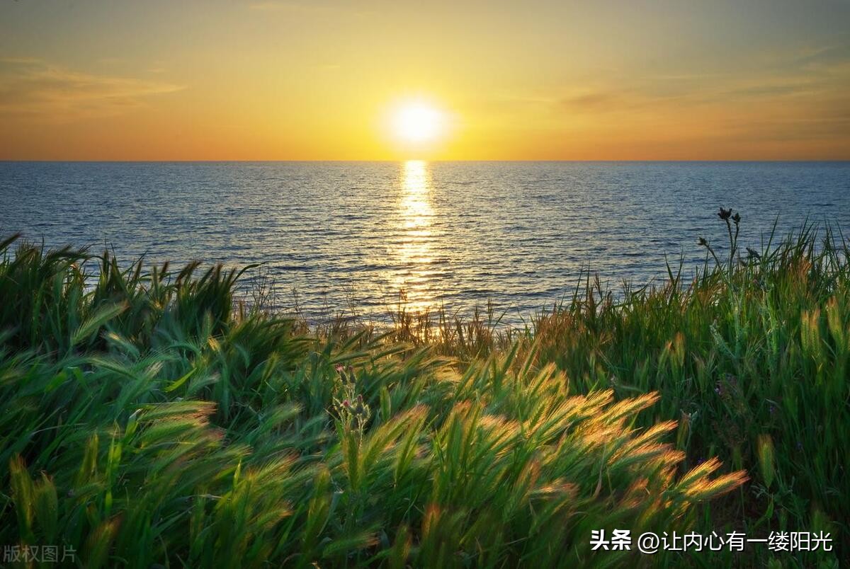 遇到头脑不正常的怎么办,遇见脑袋不灵光的人怎么办