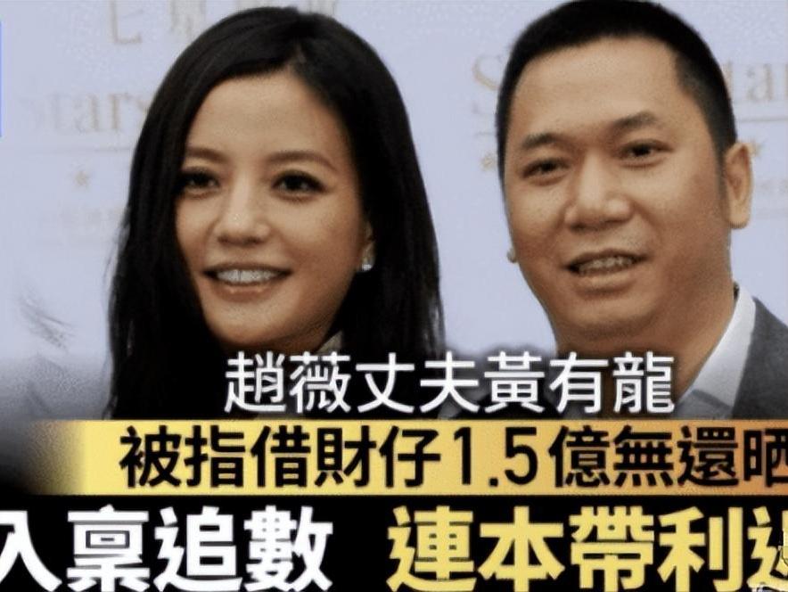 赵薇叛国罪,赵薇涉黑涉恶