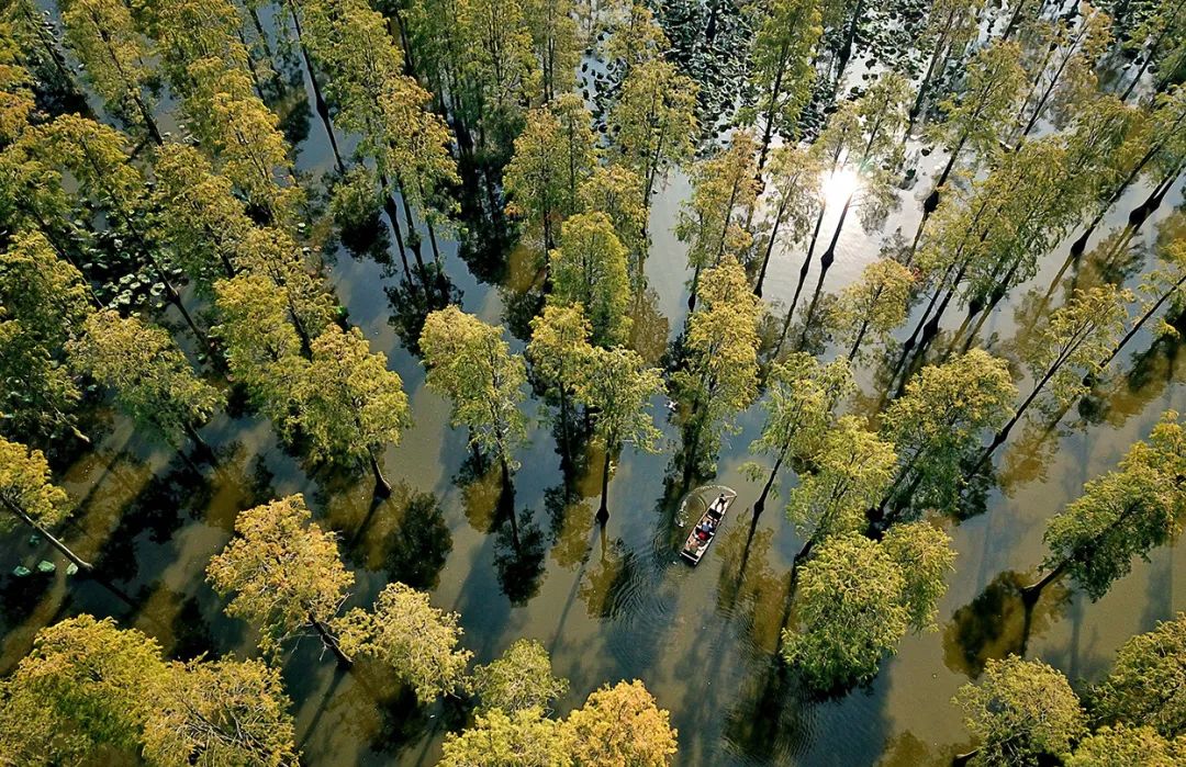 最新武汉好消息,武汉好消息今日头条