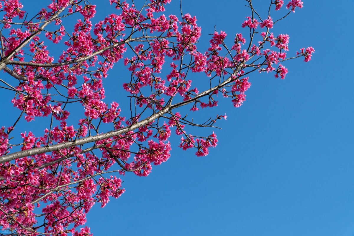 让自己变得强大的12个建议,让自己强大起来的20件事