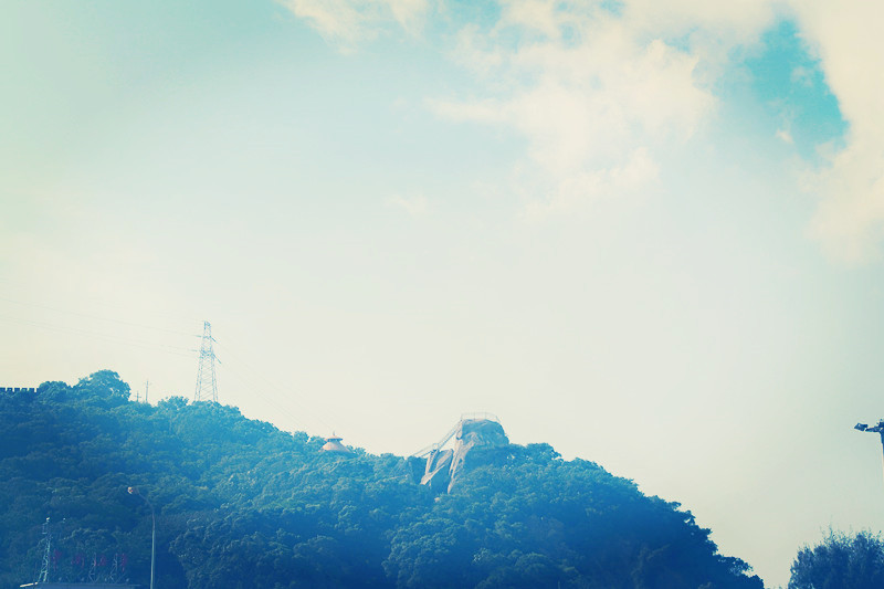 高考英语核心单词短语专练,高中英语必修1-8重点单词短语