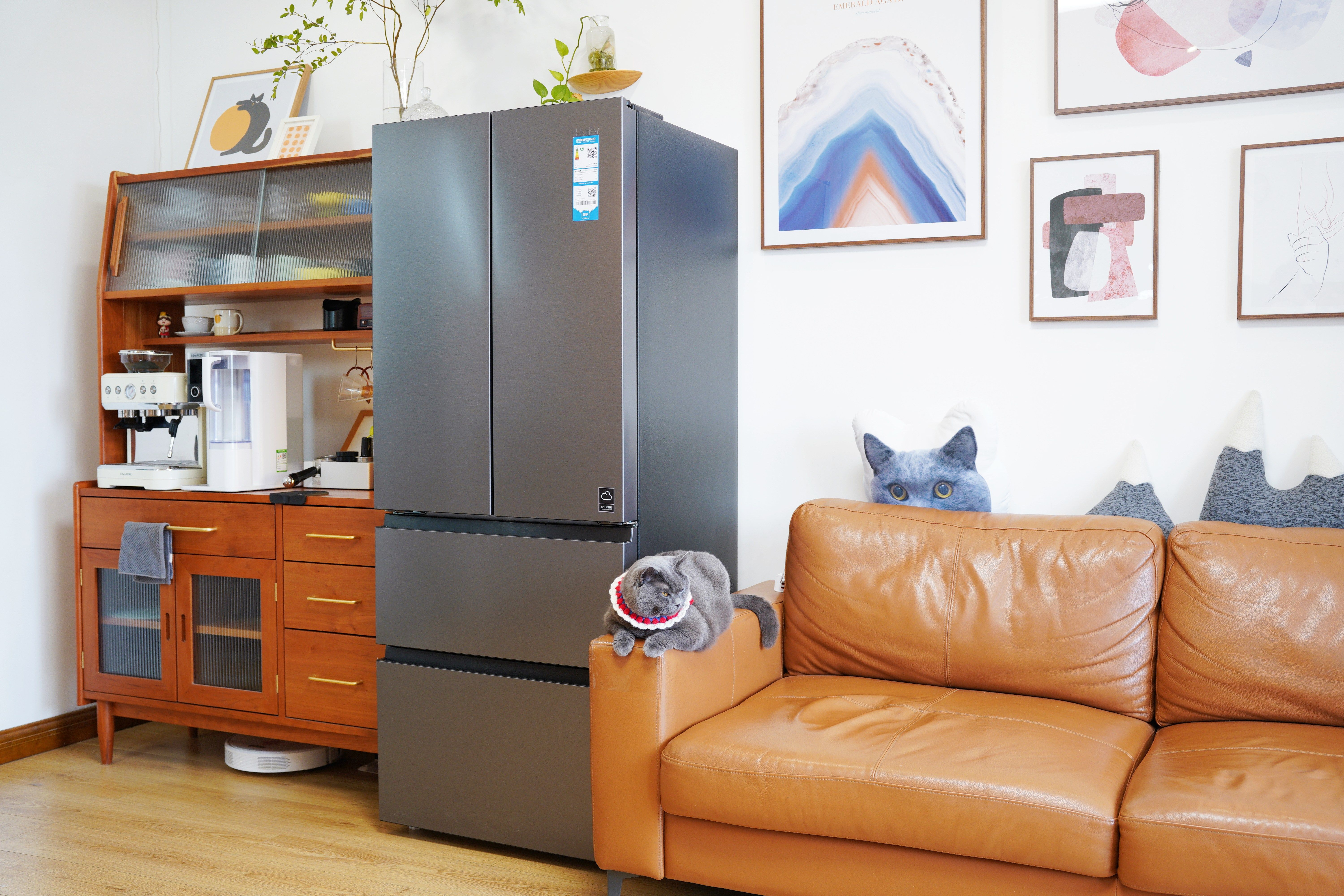 海尔412母婴冰箱讲解介绍,小户型海尔冰箱推荐性价比高