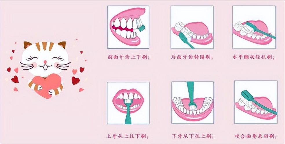 徕芬2023电动牙刷,儿童牙刷测评电动2023