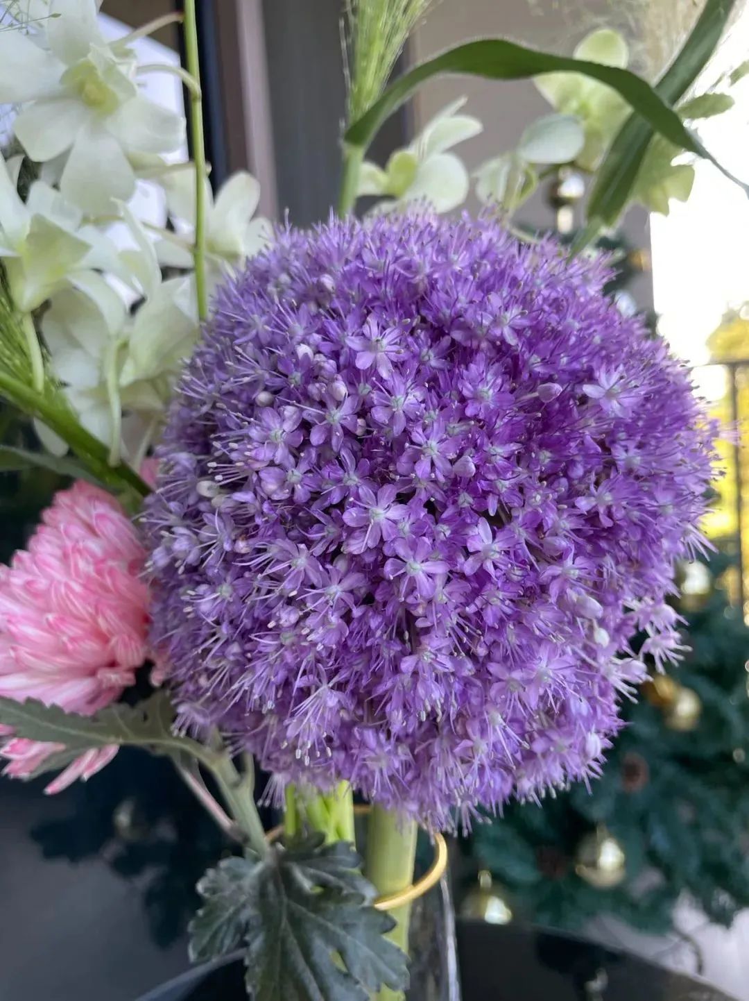 鲜花在水里能养几天会死,新加坡盆栽花卉怎么养