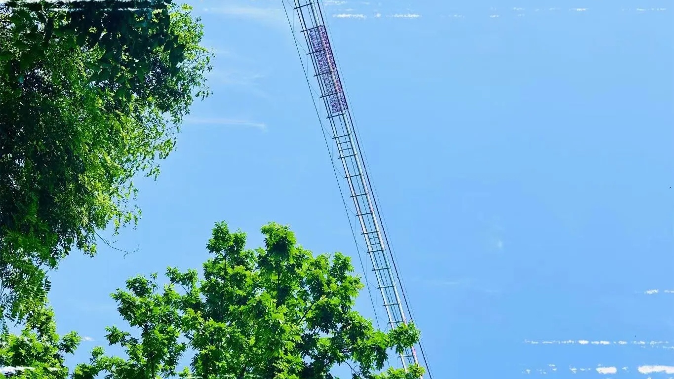 松弛下来享受此刻的独处,松弛下来的生活