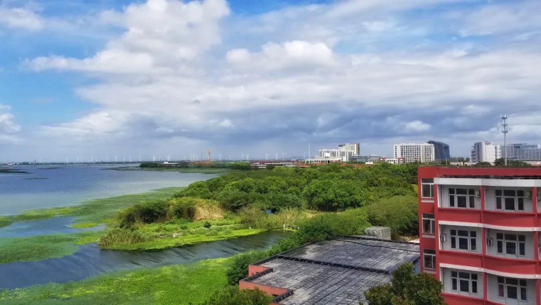 苏州托普信息职业技术学院补录,苏州托普职业学院招生