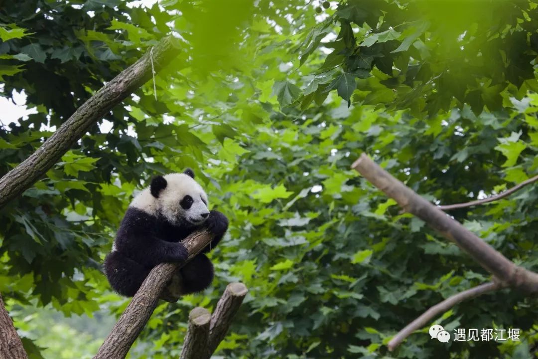 水灵妹旅行攻略,水灵妹旅游景点