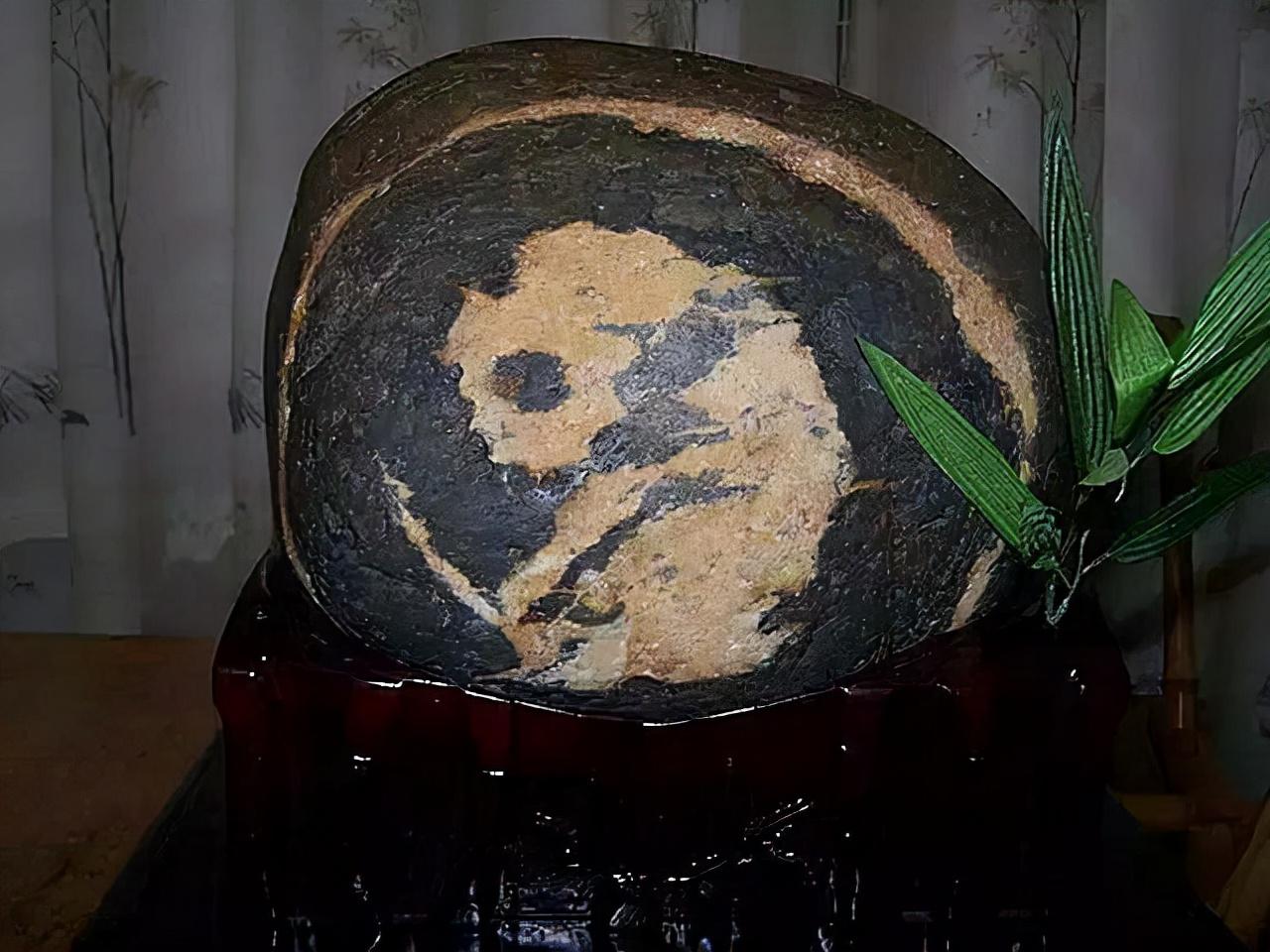 熊猫奇石价值上亿,青岛男子捡到熊猫奇石