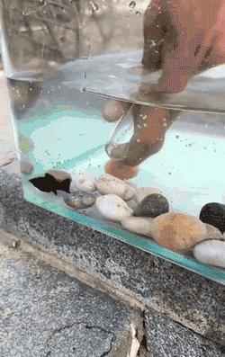 各种搞笑动图大全,吃惊搞笑动图