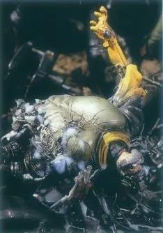 假面骑士初代怪人,初代假面骑士中恐怖的怪人