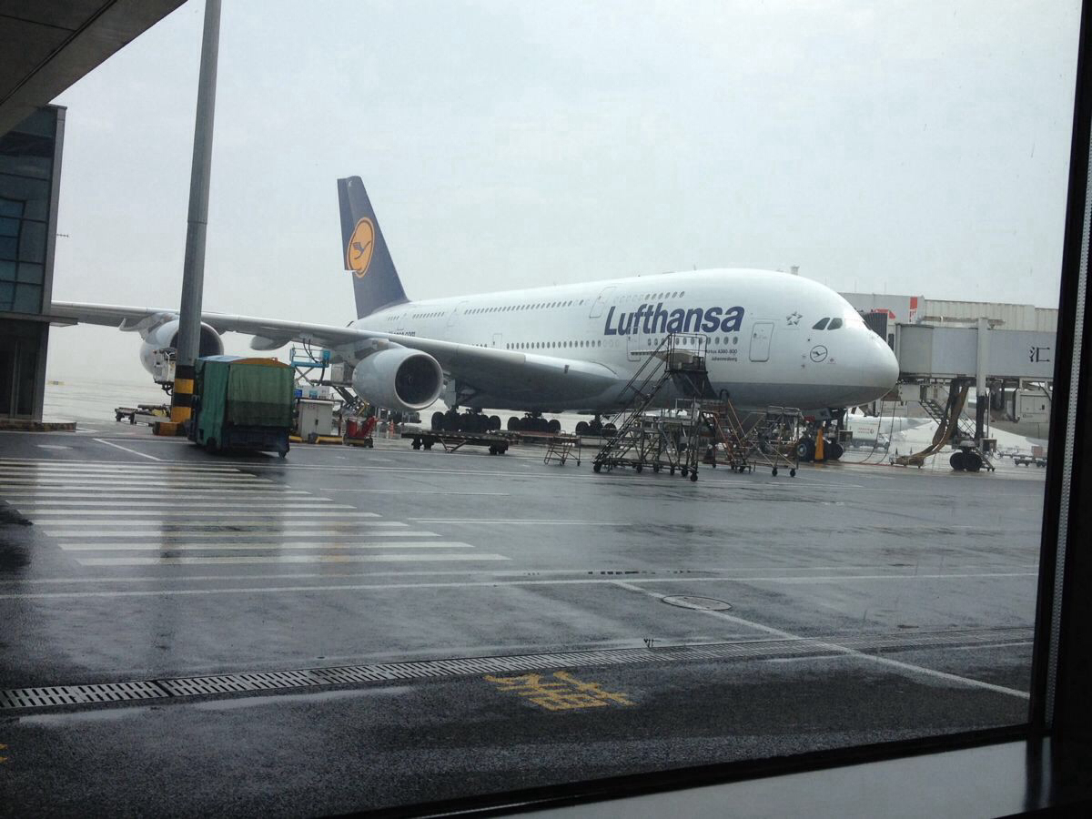 南京一孕妇产下四胞胎，政府赞助他们出国留学，如今老板是谢霆锋