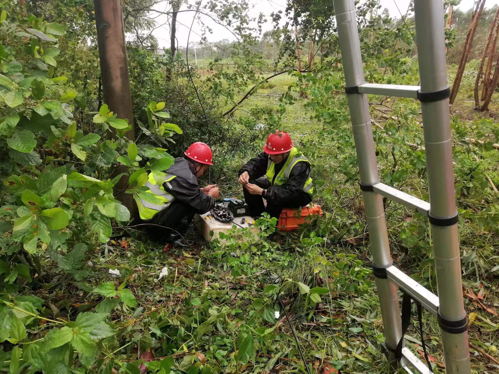 台风泰利来袭广东严阵以待,台风泰利防御工作