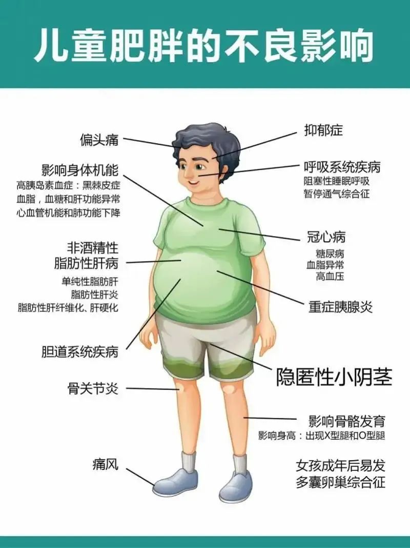 18岁少女疯狂减肥暴瘦40斤,120斤顽固性肥胖怎么减肥比较快