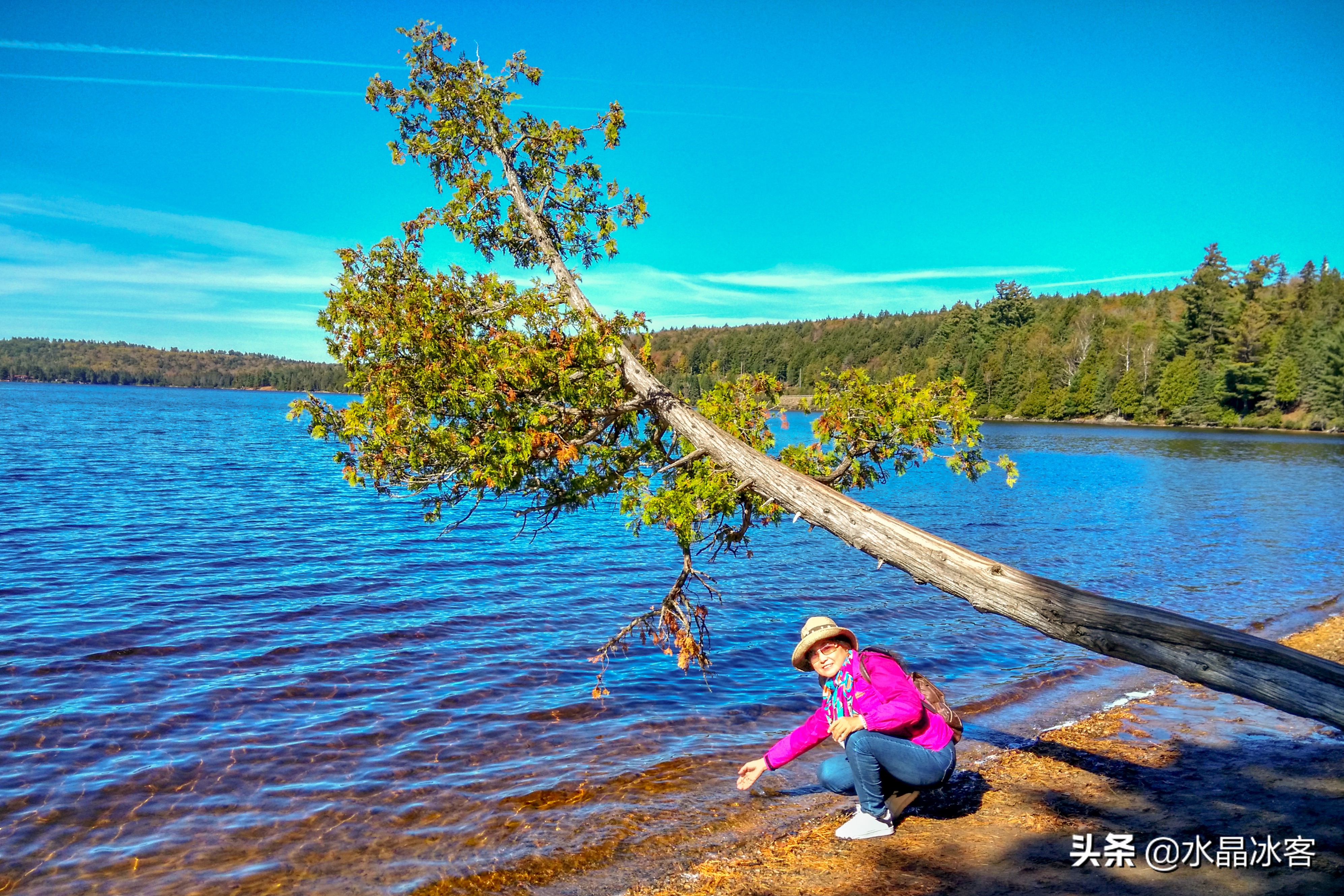美东加东旅游,美东加东