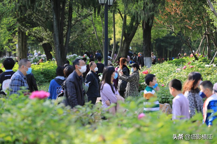 2021我的难忘记忆,我的2020高考独家记忆