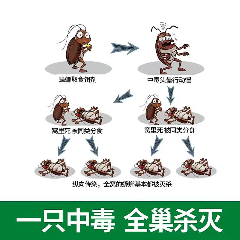 家里小强很多怎么彻底消灭,家里有小强怎么消灭蟑螂