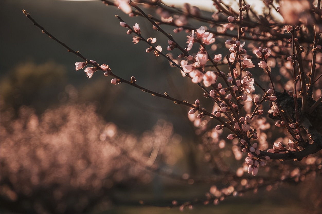 被人算计就要当场翻脸不后悔,被人算计的五大表现