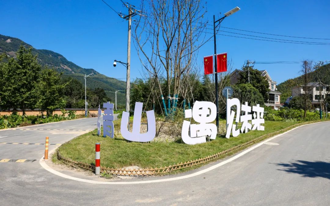 乡村振兴100讲全集,100个经典乡村振兴案例