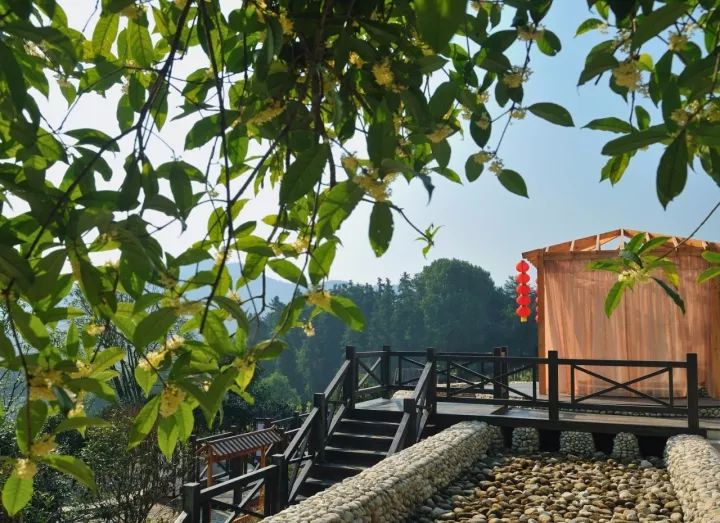 武汉周边温泉旅游景点推荐,武汉市附近最好玩的温泉