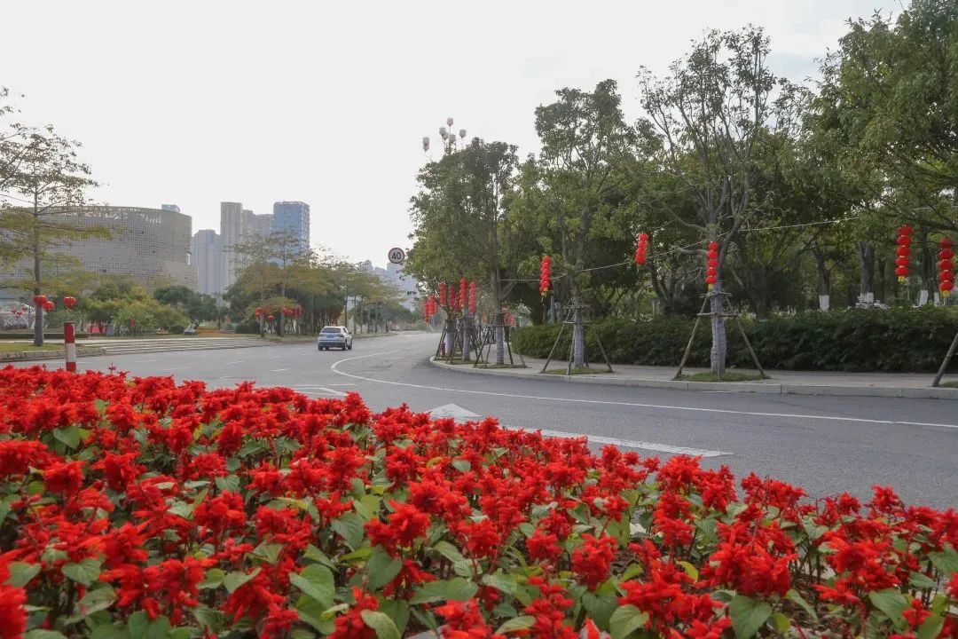 新春走基层年渐近年味浓,新春走基层石头村高挂迎客来