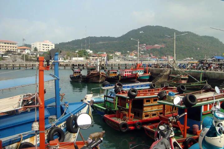 带香味的鱼,柴油味的鱼有什么危害