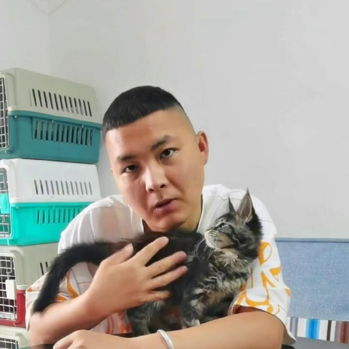 什么叫一手批发你们的猫买贵了吗？