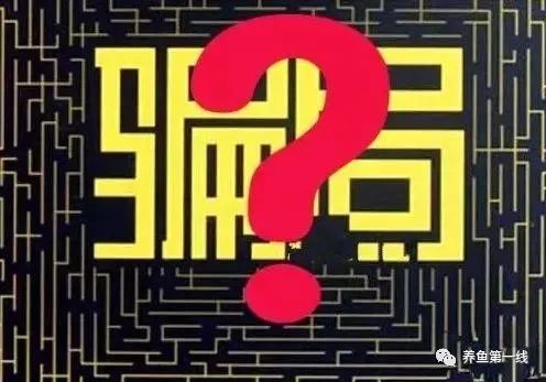 帆布池养殖泥鳅到底行不行,南美白对虾帆布池养殖可靠吗