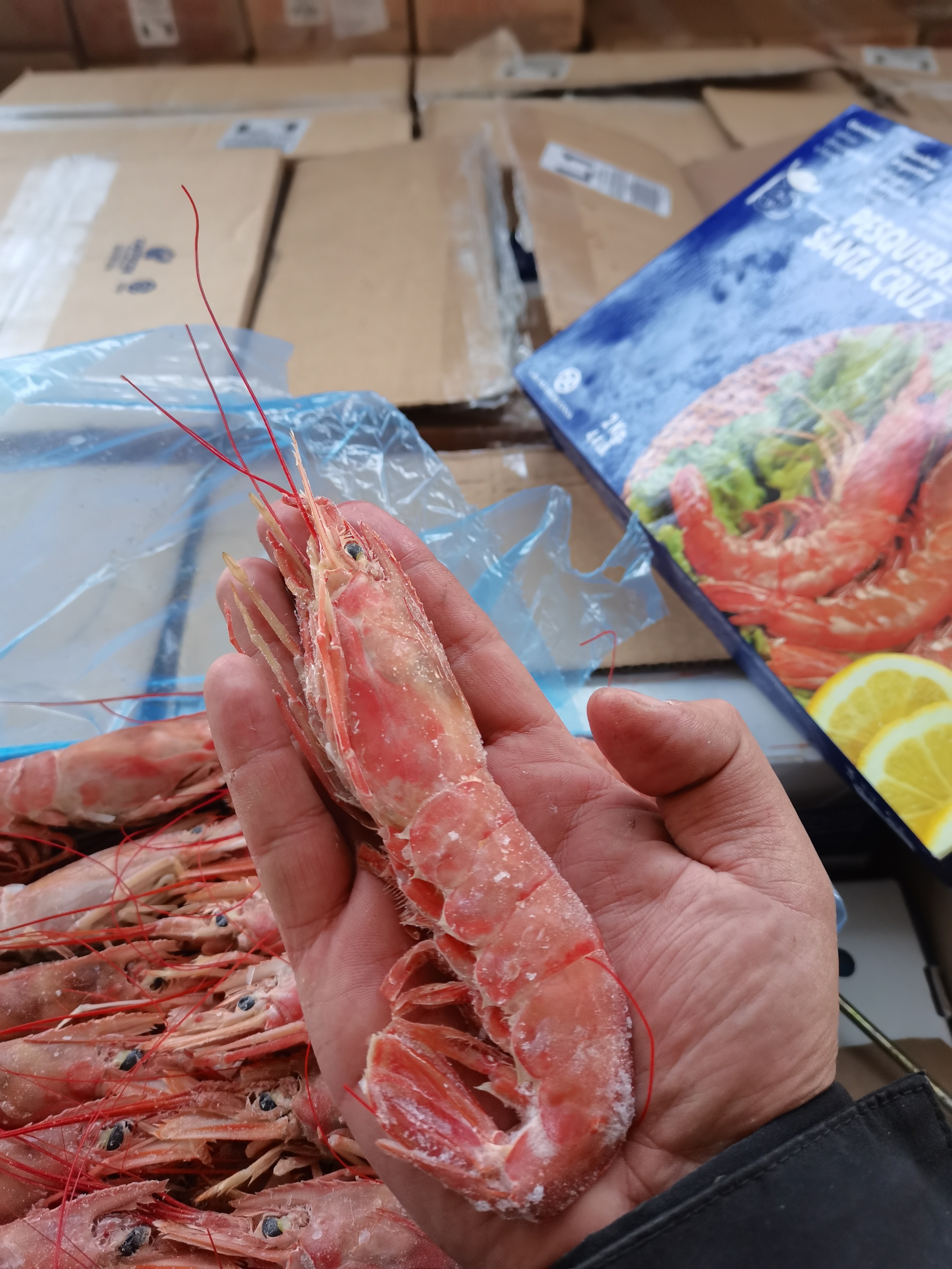 阿根廷红虾的营养价值及功效口感,阿根廷红虾和白虾哪个更有营养