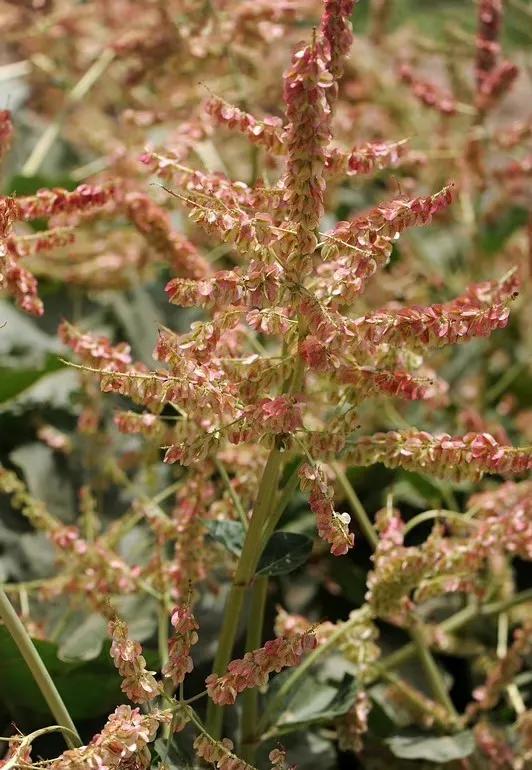 给你全部的温情与热爱,想给你全部的温情和热爱