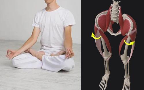 ,文字版跪坐与双盘：开胯、膝、踝#传武#太极