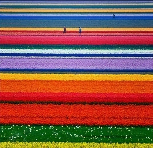 色彩的感性效果包括色彩的性格,色彩的魅力和艺术