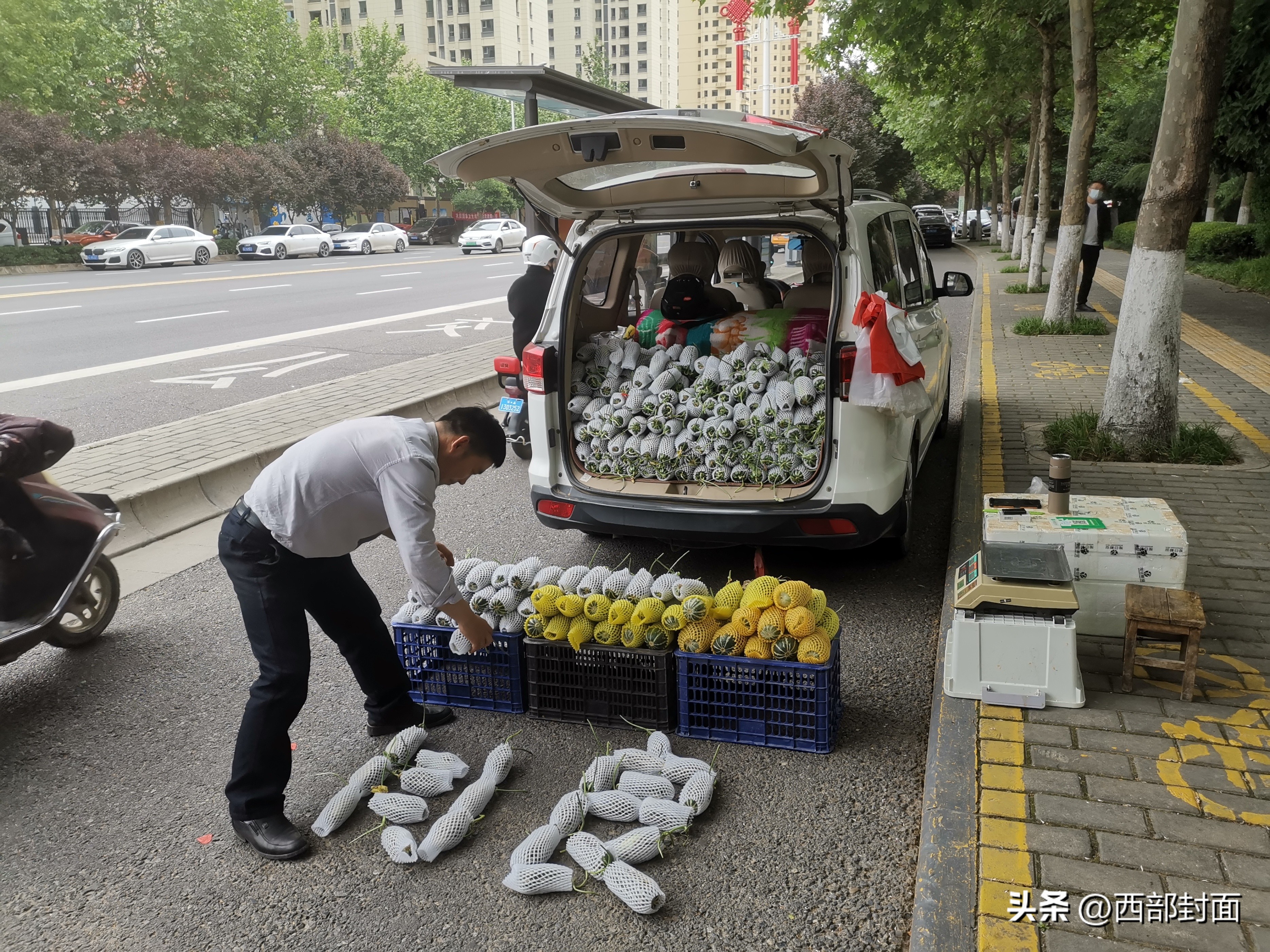 延安高飞,延安高飞散文欣赏