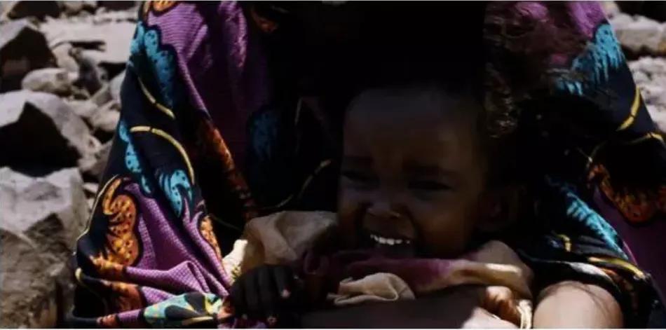 读华莉丝的《沙漠之花》：惨绝人寰的女性割礼