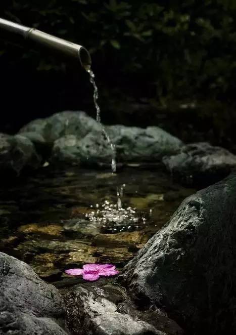 师徒情作文,师徒情深感人的文章