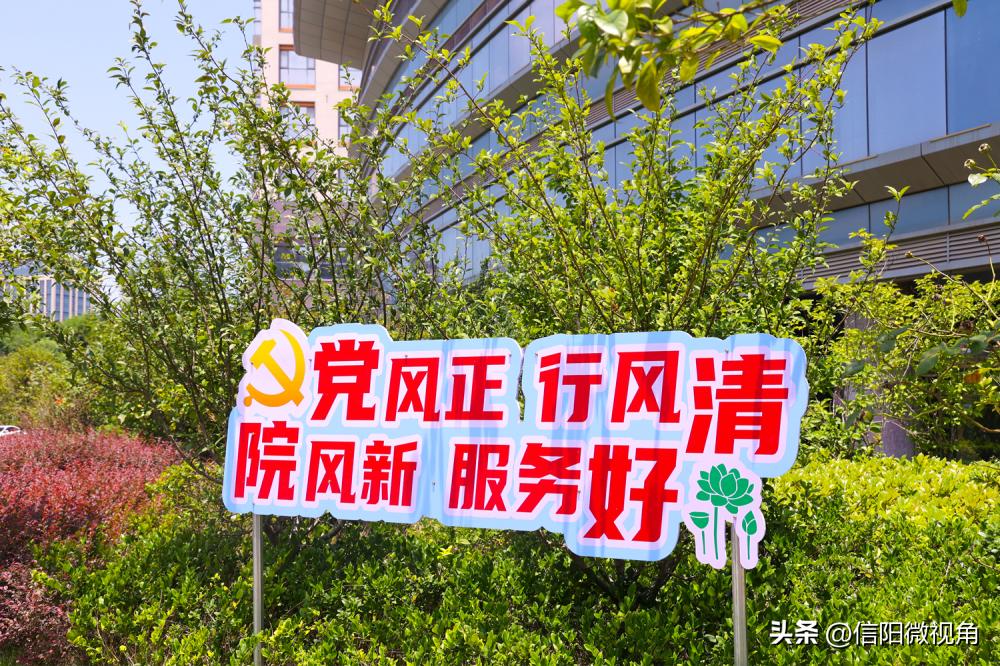 夏日限定!带您沉浸式体验信阳市人民医院的绿意芳香