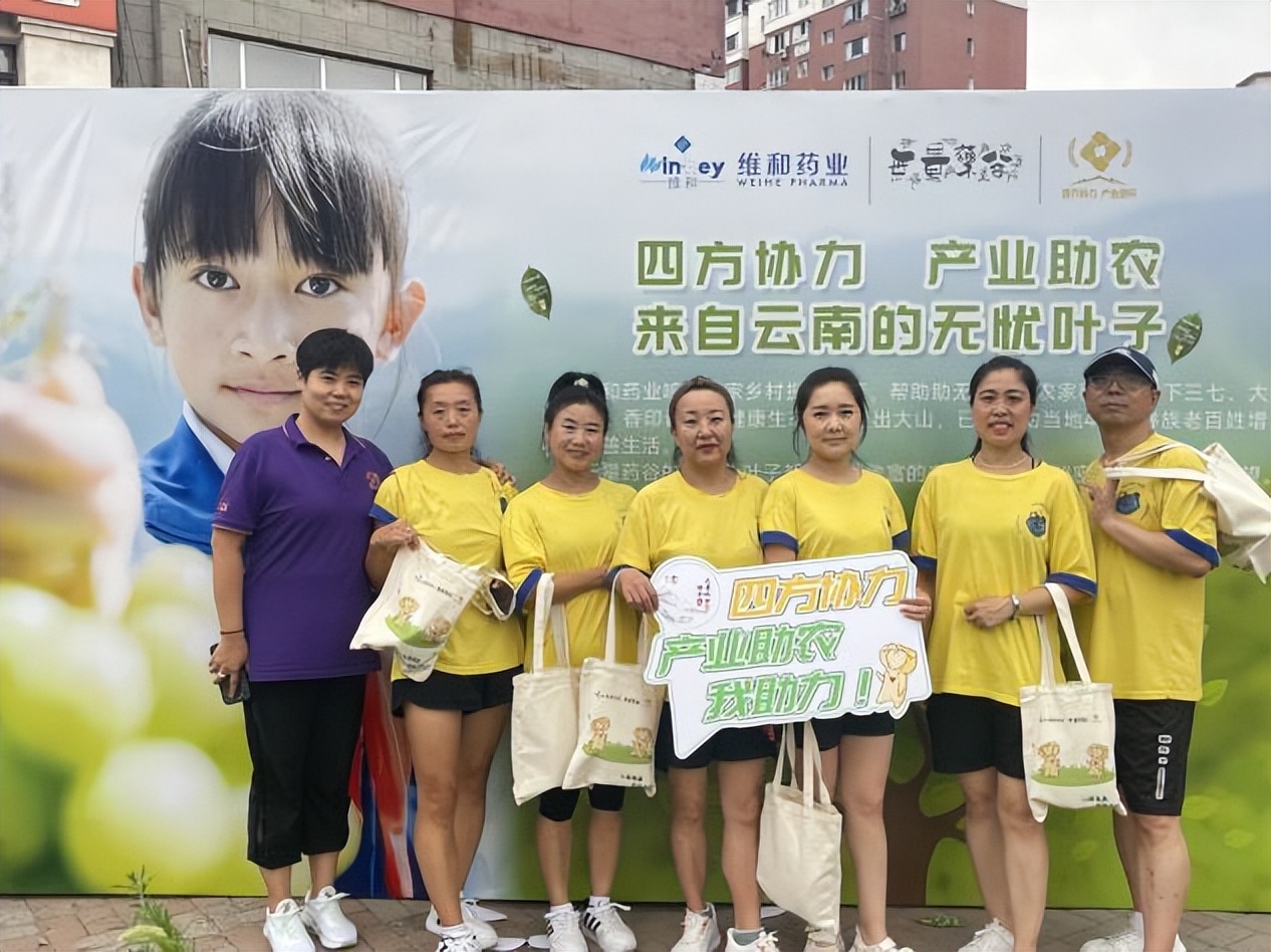 辛巴辛有志充分发挥辛选力量，公益善举，益民助农