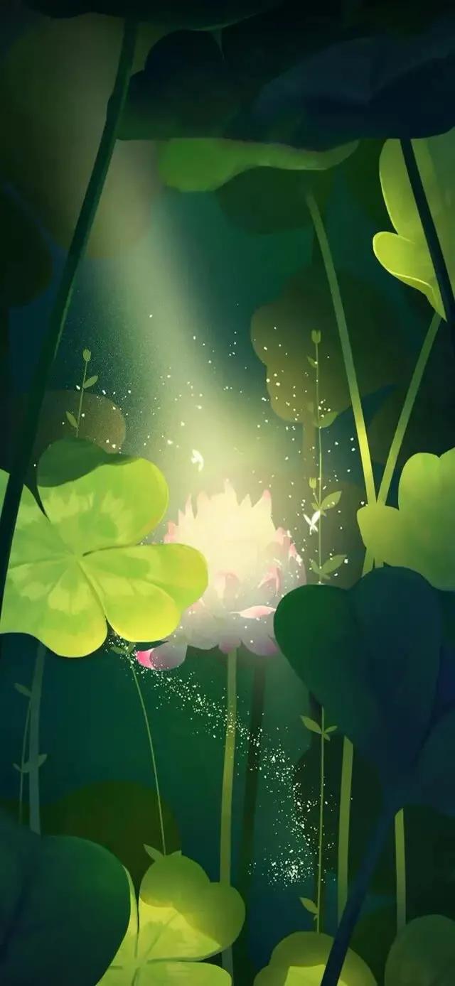 护眼壁纸动态壁纸高清全屏90帧,华为绿色养眼护眼壁纸