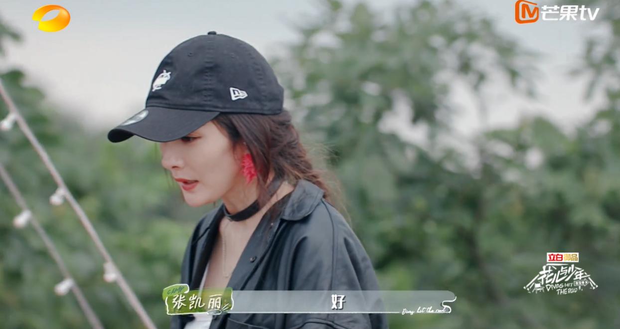 花儿与少年哪一季热度最高,花儿与少年4都是哪些嘉宾