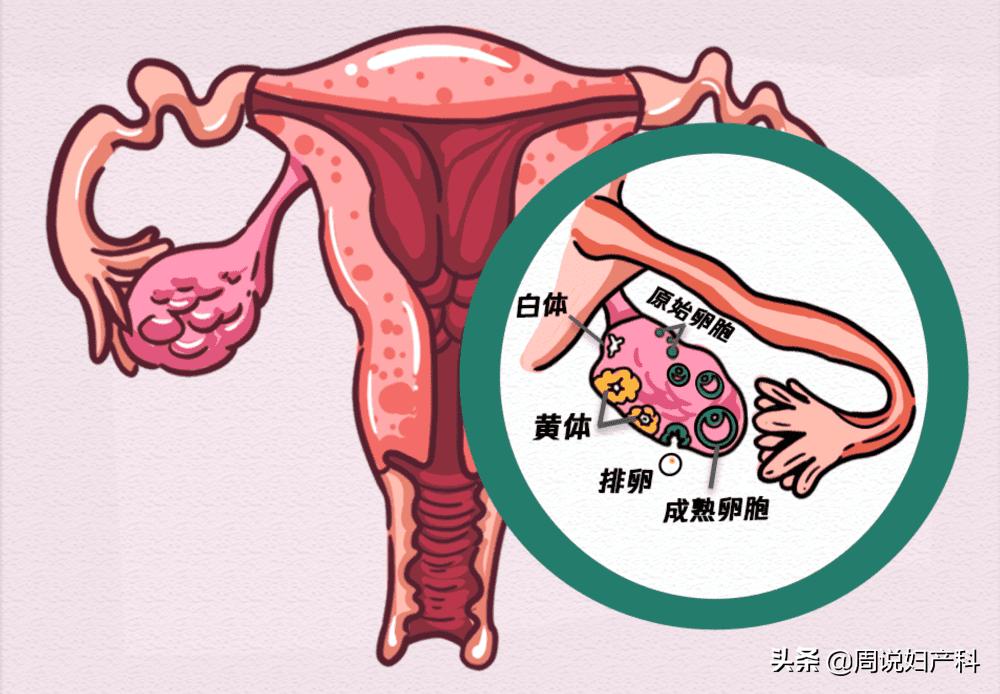 26岁未结婚的女人是什么状态,26岁还没结婚的女人都在想什么